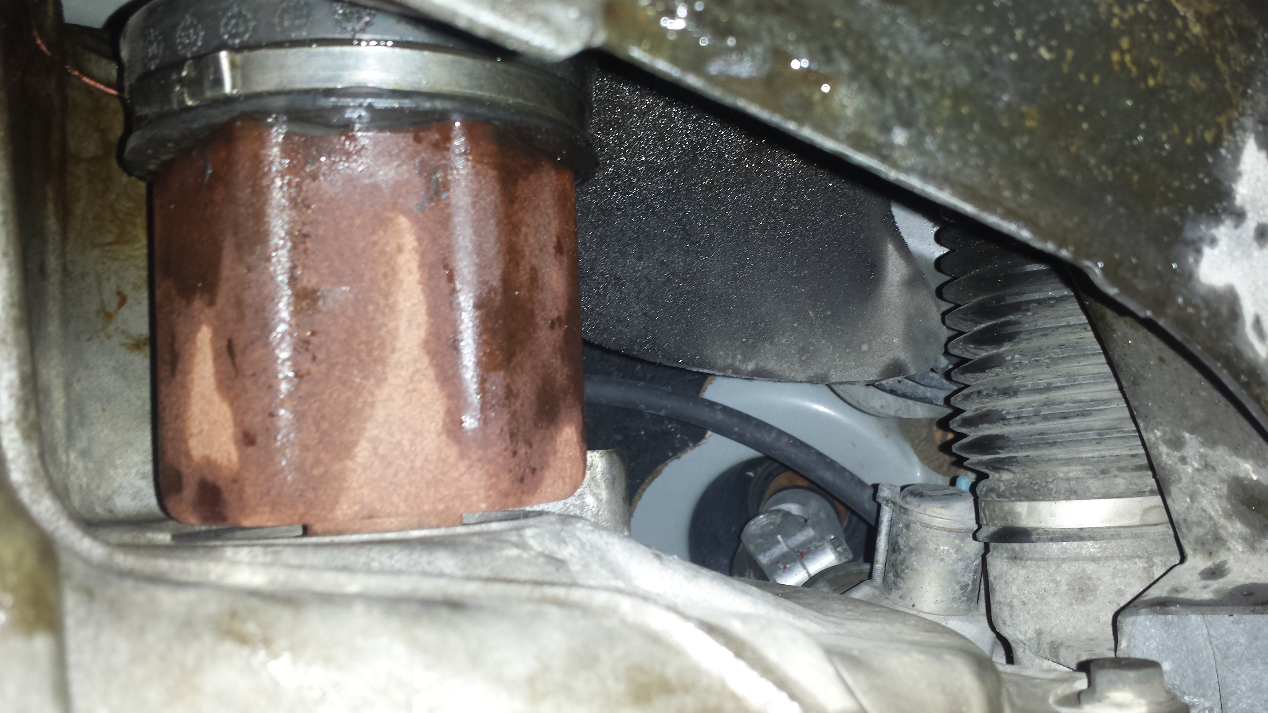 20140621_094111.jpg