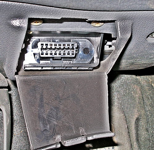 P1010483 r.JPG