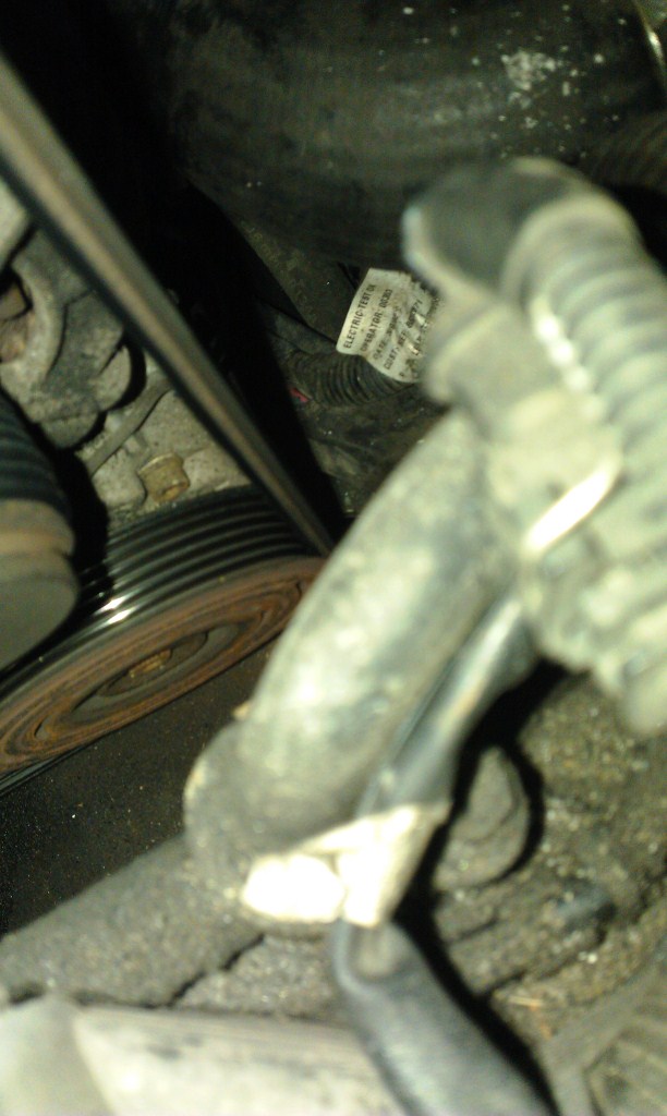 IMAG0169.jpg